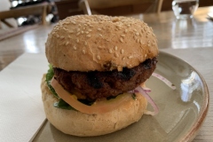 2021-07-24-12.39.23-800x600