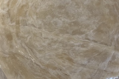 indu-vegan-tuesdays-12