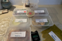 indu-vegan-tuesdays-7