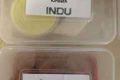 indu-vegan-tuesdays-8