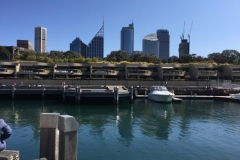 wooloomooloo-2-800x600