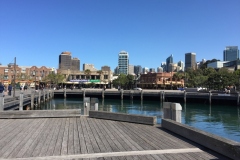 wooloomooloo-3-800x600