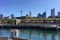 wooloomooloo-4-800x600