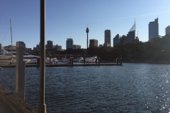 wooloomooloo-5-800x600
