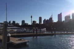 wooloomooloo-9-800x600